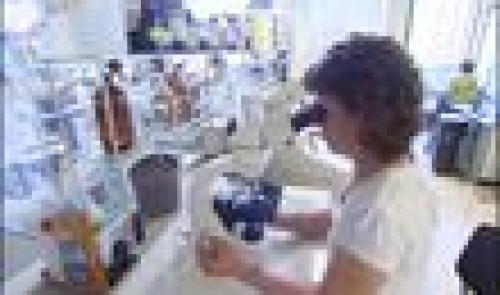 Engis : pas d'épidémie de cancer